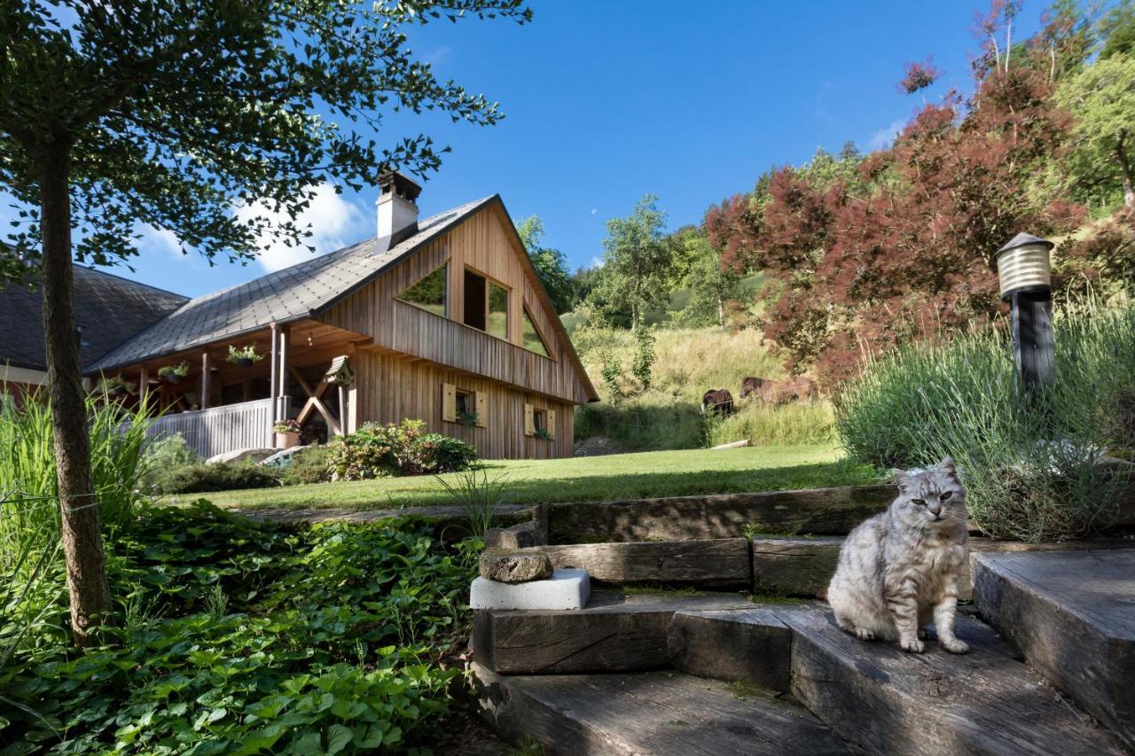 Homestead Farm Tesnak Gorenja Vas  Exteriér fotografie