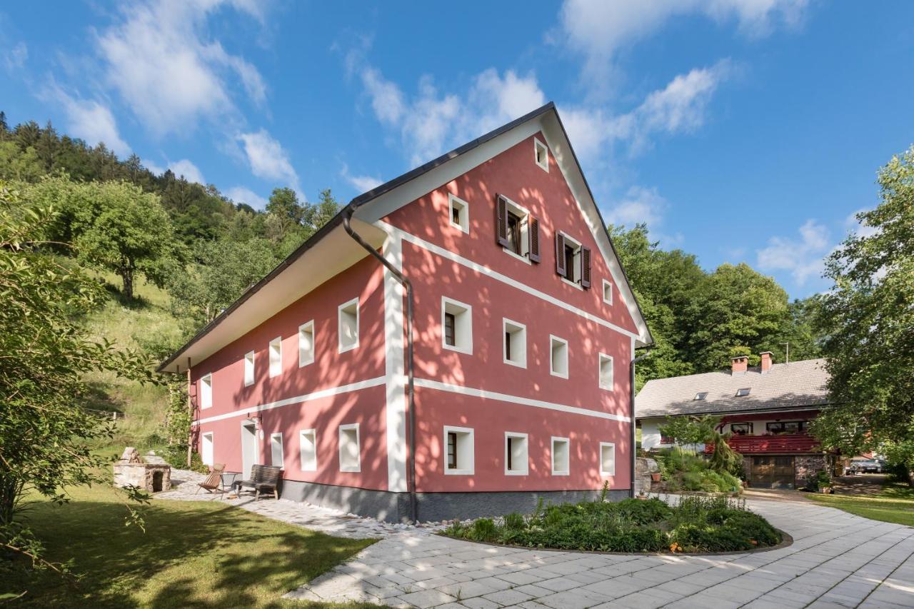 Homestead Farm Tesnak Gorenja Vas  Exteriér fotografie