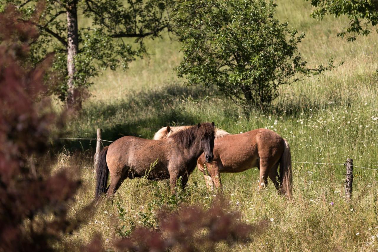 Homestead Farm Tesnak Gorenja Vas  Exteriér fotografie