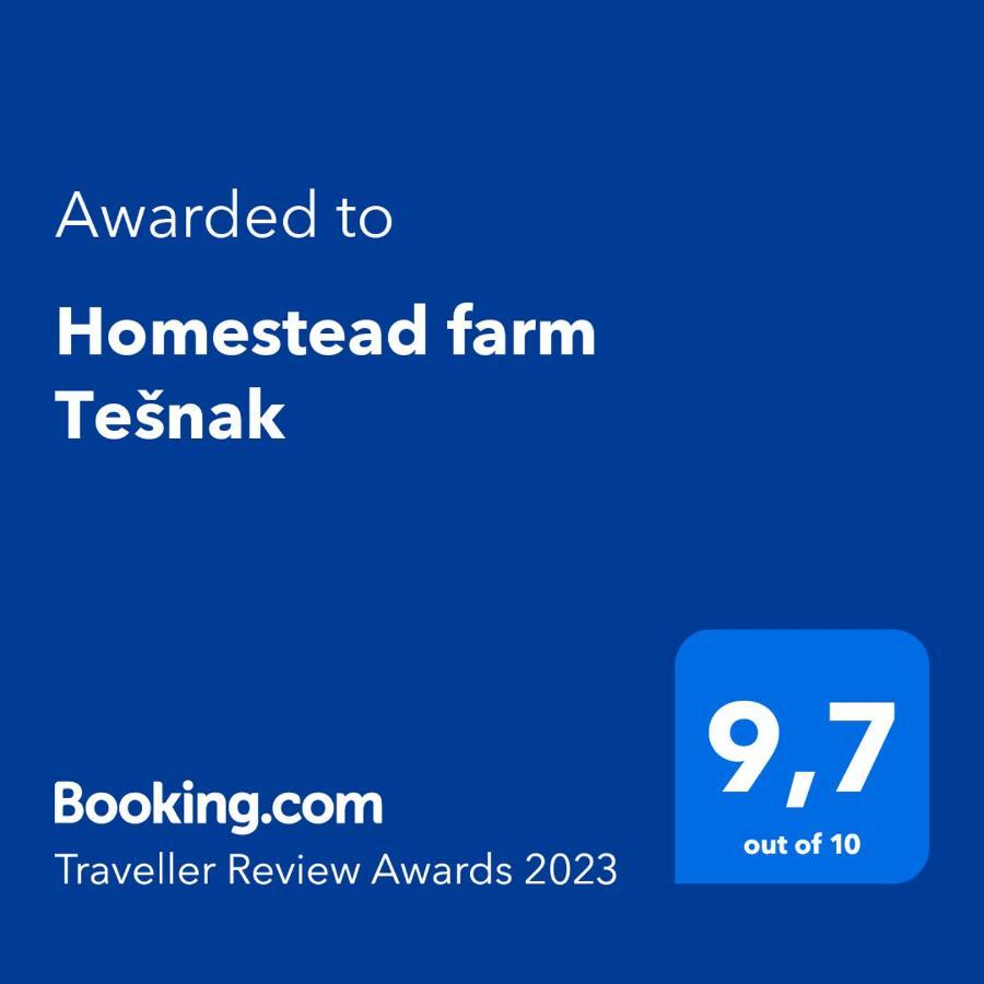 Homestead Farm Tesnak Gorenja Vas  Exteriér fotografie